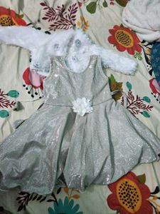 Glittery Frock With Fur Coat
