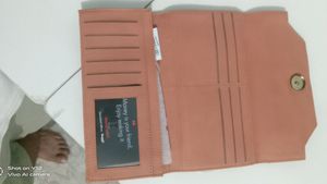 Baggit Brand GG