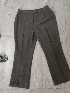 Elegant Dark Brown Straight Leg Pants
