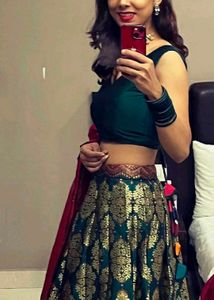 Elegant Embroidered Lehenga Choli set