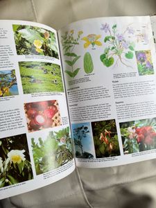 Children's Treasury of Knowledge: Plants