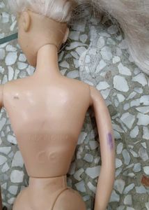Fashion Doll with Pink Dress