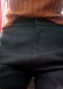 2 Shirt,1 Pant,1shorts(One Men Brown Pant free)