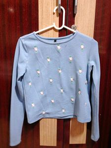 Light Blue Embroidered Long Sleeve Top