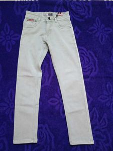 Stylish Light Green Denim Jeans