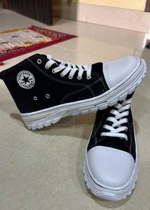 Converse Shoes