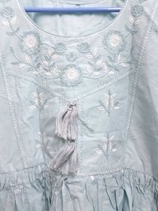 Elegant Embroidered Light Blue Dress