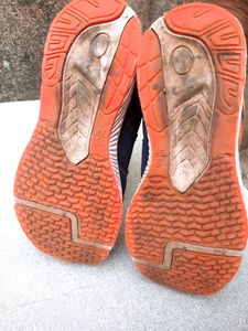 Sports Shoe