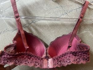 Beautiful Lace Padded Underwire Bra