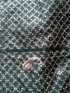 Never Used Organza Elegant Sequin Work Saree