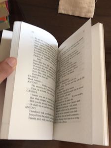 🎉🎉CLEARANCE SALE🎉🎉Julius Caesar by Shakespea