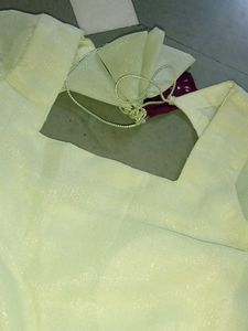 Customized Elegant pista Anarkali Gown