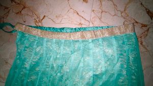Beautiful Teal Net Skirt