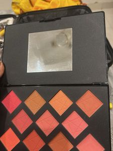 PAC Take Cover Blusher