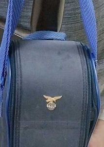 Vintage Eagle Chill-eze Lunch Bag