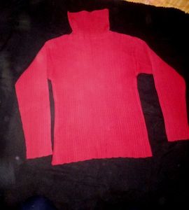 Winter Turtle Neck
