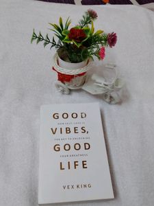 GOOD VIBES GOO LIFE