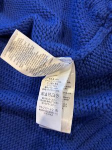 Polo Ralph Lauren Colorblock Hoodie