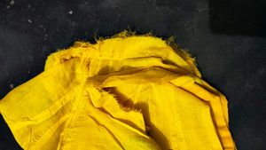 Vibrant Yellow Embellished Saree