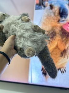 Cute Marmot Stuffed Animal