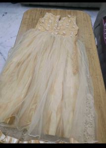 Elegant Embellished Lehenga Choli