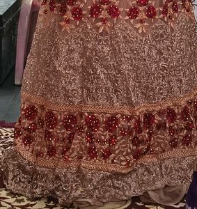 Elegant Embellished Ethnic Gown extraordinary look