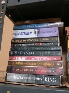 Mixed Fiction Book Lot