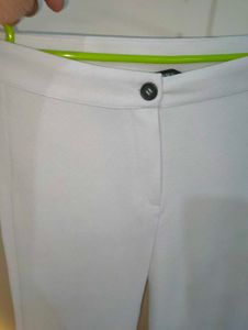 Popwings Women Casual  Solid pant