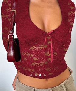 Sheer Lace Long Sleeve Top