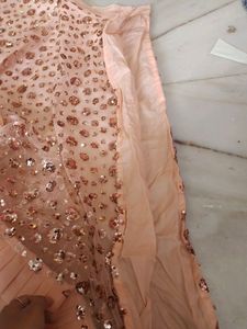 Net Siqunce Work Frill Lahnga Set