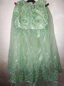 Elegant Mint Green Lehenga Choli