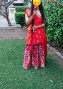 Elegant Lehenga Choli Set