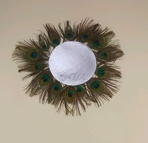 Peacock Feather Wall Decorative Item Use In Photo