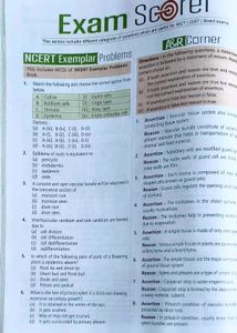 Objective NCERT At Your Fingertips Biology