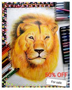 Lion Drawing