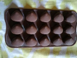 Chocolate Moulds (1 Piece)