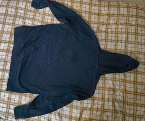 Champion Navy Blue Hoodie
