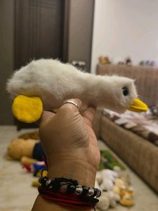 Cute Duck Plush Toy
