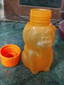 water bottle,