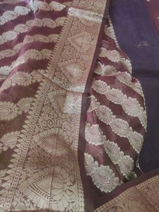 Stylish Paisley Pattern Saree
