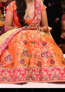 Heavy stylish lehanga choli with beautiful dup