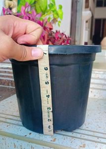 5 Black Nursery Planters