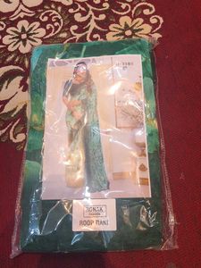 Beautiful Green Fancy Saree