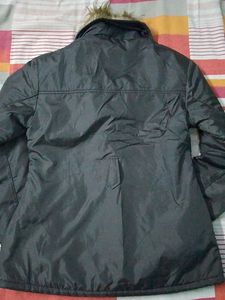 Winter Wear Jacket