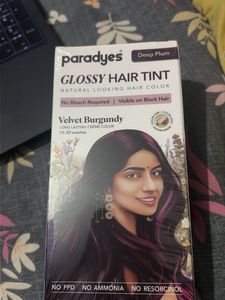 Paradyes Glossy Hair Tint - Deep Plum
