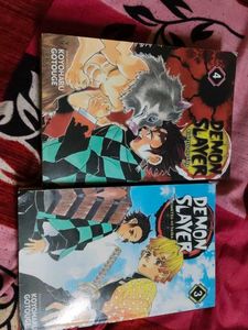 Demon Slayer Manga Set