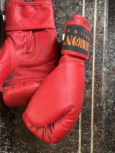 Aurion Boxing Gloves