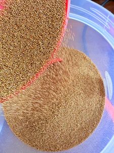 Premium Sand ball beads 30g