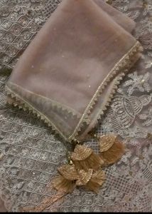 Elegant Embroidered Lehenga Set