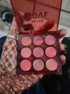 Swiss beauty lipstick Palette
